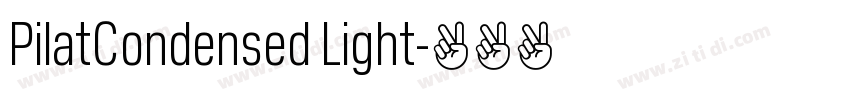 PilatCondensed Light字体转换